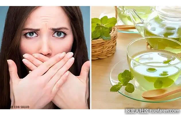 【圖】發現薄荷的好處和用途