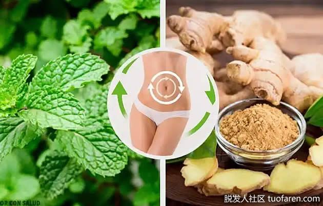 【圖】薄荷薑茶促進新陳代謝