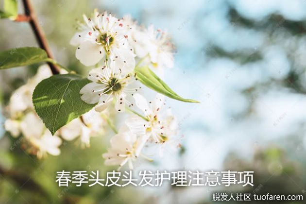 【圖】春季頭皮頭髮護理注意事項