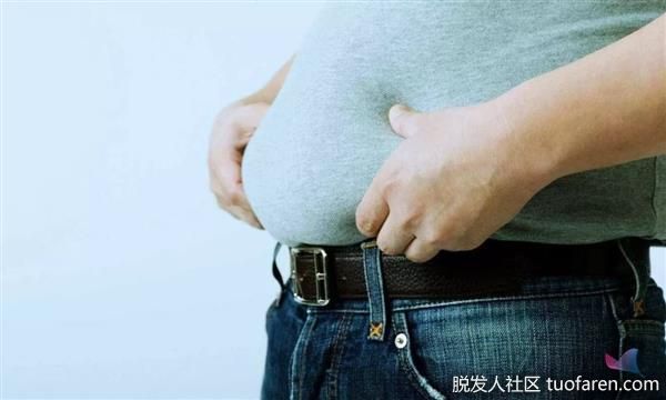 【圖】研究發現：肥胖的人容易脱髮