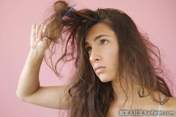 【圖】防止頭髮毛躁的天然解方