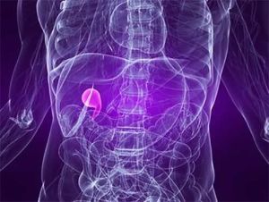 膽囊膽結石與脱髮不存在聯繫