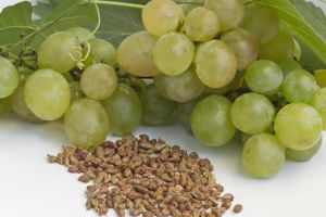 什麼是葡萄籽油?