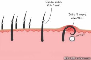 如何治療向內生長的眉毛？