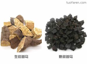 何首烏脱髮治療有妙招