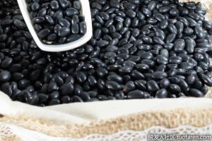 含球蛋白高的食物