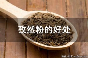 孜然粉的好處