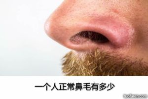 一個人正常鼻毛有多少