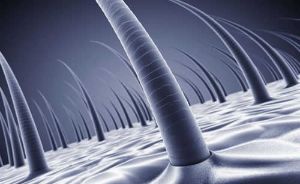 頭髮稀疏怎麼辦 需要知道3件事情