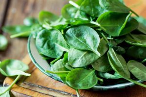 哪些食物是鐵的良好來源?