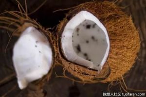 椰子油中含有哪些維生素