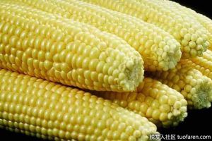 玉米油對頭髮有好處嗎?是否全天然護髮？