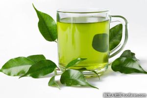 綠茶對頭髮的好處