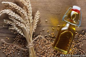 富含維生素E的食物：小麥胚芽油