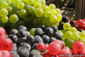 葡萄有哪些健康益處？