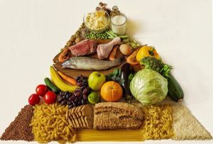 8種關鍵營養物質