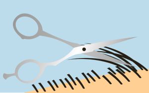 剃掉的頭髮會變粗嗎?