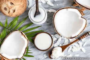 椰子油：營養成分