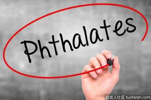 洗髮水有害成分：鄰苯二甲酸鹽