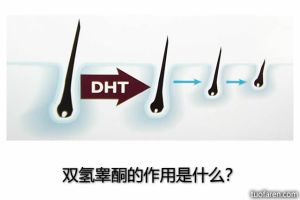雙氫睾酮的作用是什麼？