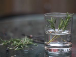 迷迭香煮水防止脱髮