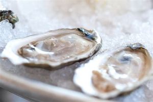 頭髮生長食物之牡蠣