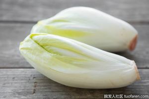 菊苣對頭髮的好處