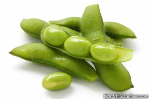 毛豆對健康的益處