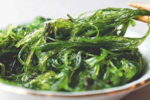 海帶礦物質與頭皮健康