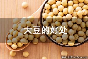 大豆的好處