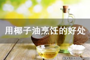 用椰子油烹飪的好處