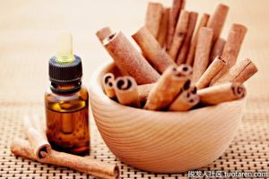 肉桂油的好處
