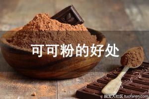 可可粉的好處