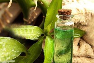 如何使用茶樹油去頭皮屑?