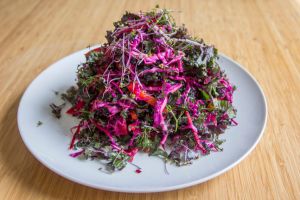 羽衣甘藍的營養價值