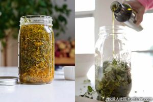 如何從迷迭香葉中提取精油