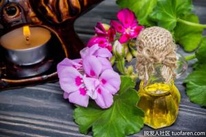 天竺葵精油的好處