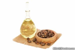 蓖麻油的用途、優點和劑量