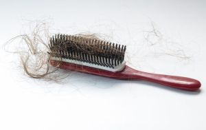 高蛋白飲食和脱髮