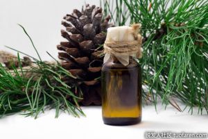 雪松精油對頭髮的功效