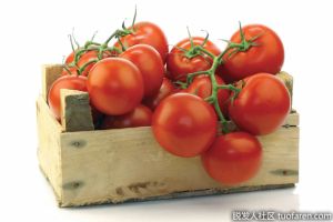 抑制DHT食物：番茄紅素