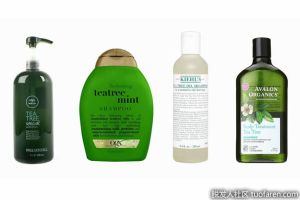 茶樹油洗髮水有什麼好處？