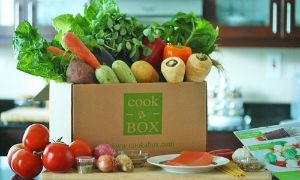 頭屑、脱髮、頭髮枯黃吃什麼可以治療