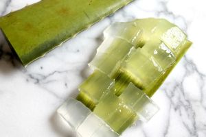 蘆薈汁能治療皮膚癌嗎?