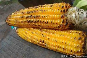 玉米油和葵花籽油：如何選擇？