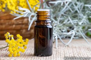 什麼是蠟菊精油？