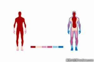 血管舒張是如何維持體温的？