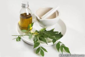 印楝油用途：印楝油改善您的生活