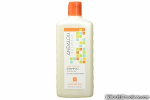 Andalou Naturals 摩洛哥堅果油洗髮水