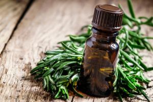 迷迭香精油對頭髮有什麼好處?
